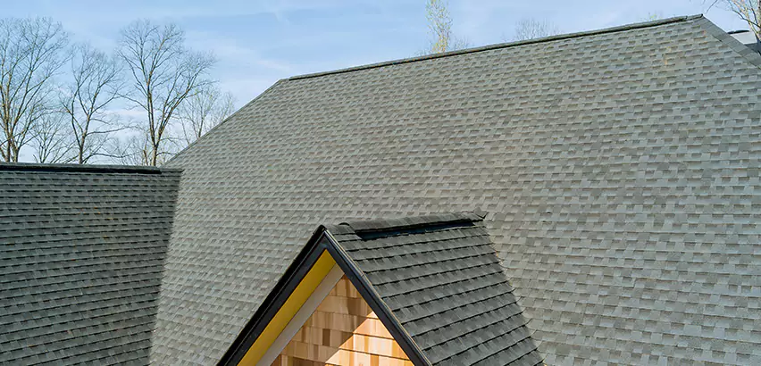 Replacing Vinyl Siding With Cedar Shingles in San Francisco